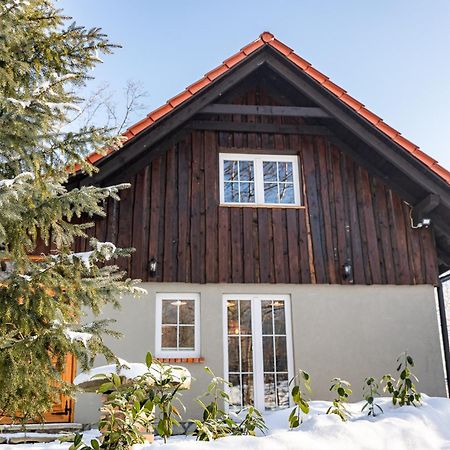 Dom Nad Potokiem Z Sauna Lipowa Kültér fotó